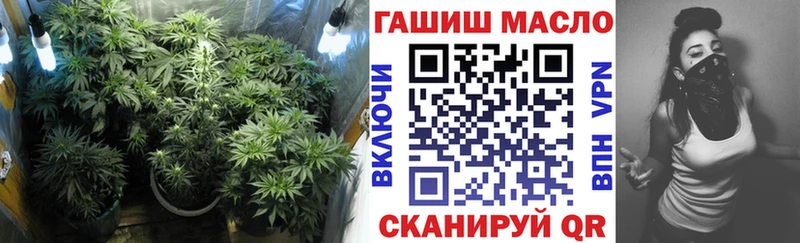 ТГК Wax Серафимович