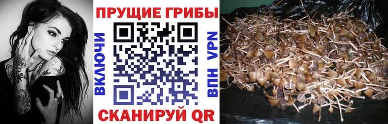 Псилоцибиновые грибы MAGIC MUSHROOMS  Серафимович 