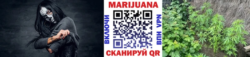 что такое   Серафимович  Конопля планчик 